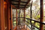 Treehouse Masters construyó una casa en el árbol del volcán hawaiano que puedes reservar en Airbnb