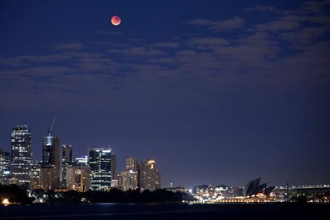 luna de sangre sydney