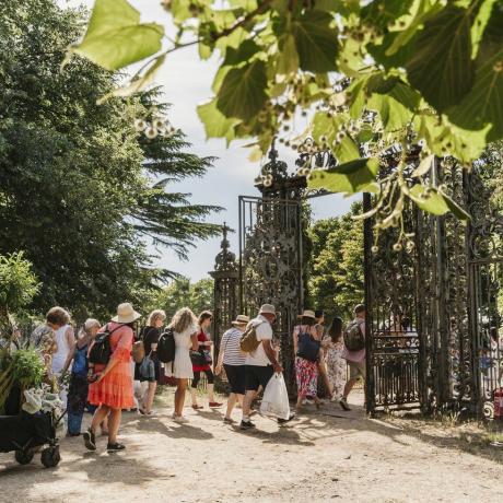 visitantes con compras de plantas en rhs hampton court palace garden festival 2022is