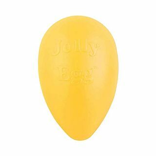 Juguete para perros Jolly Egg