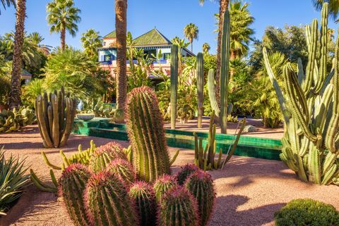 Jardín botánico Jardin Majorelle en Marrakech