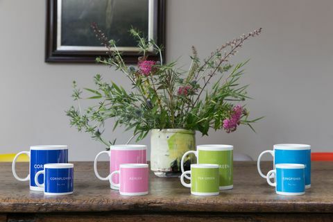 Diseñado en color, lanza las tazas British Color Standard en una gama de 12 colores clásicos