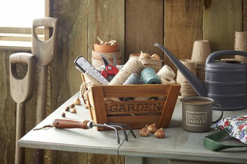 Herramientas y accesorios de jardinería Poundland