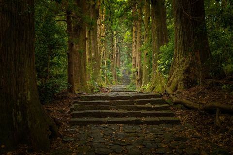 color más feo de los mundos kumano kodo