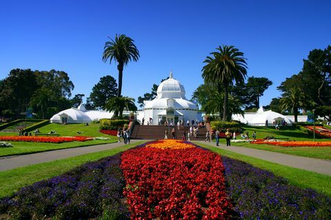 conservatorio de flores, san francisco