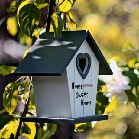 Oasis de jardín, casa de pájaros en el floreciente manzano enfoque selectivo