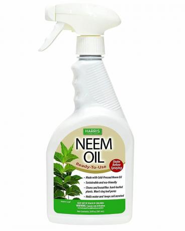 Harris Neem Oil Spray para plantas, prensado en frío, listo para usar, 20 oz