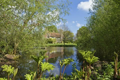 Sala de flamencos, Suffolk