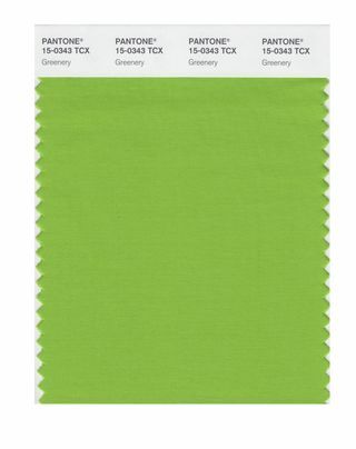 Pantone Fashion Color Report - Spring 2017 - Greenery