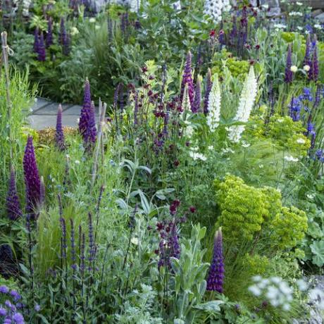 planes de plantación de jardines bienvenidos al jardín de yorkshire