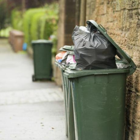 día de recogida de basura