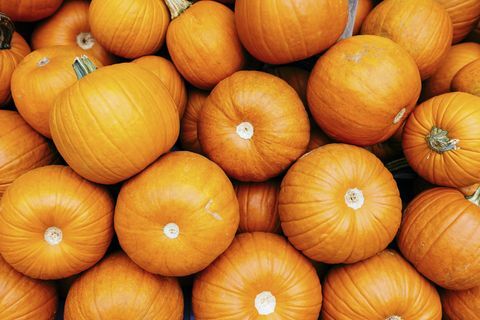 Fotograma completo de calabazas naranjas brillantes