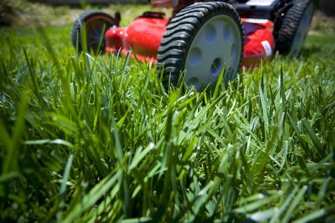 Cortar el césped: poca profundidad de campo del frente de una cortadora de césped en un césped rebelde.