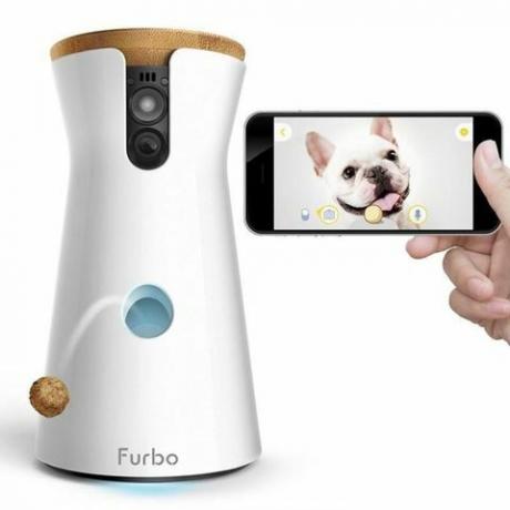 Cámara para perros interactiva Furbo