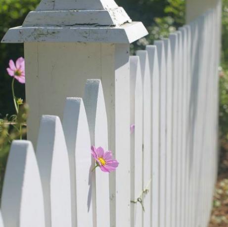 Valla de madera blanca