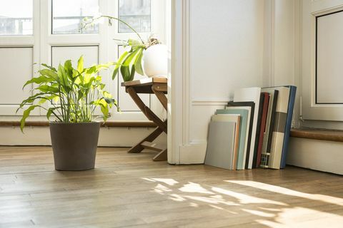 Plantas verdes y libros de arte sobre suelo de parquet, Nancy, Francia