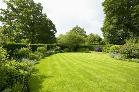 Césped rodeado de plantaciones fronterizas, The Lowes Garden, The Coach House, Haslemere, Surrey, Reino Unido