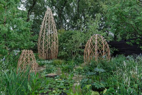 rhs chelsea flower show 2021 mostrar jardines