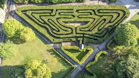 Fotografía aérea del laberinto de Hampton Court Palace que muestra parte del desierto