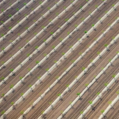 fotos aéreas patrones de tierras de cultivo