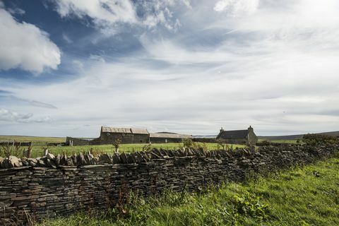 Enjambre de Grimbister - Escocia - Orkney - muro - Savills