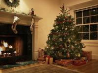 Real vs. Árboles de Navidad falsos: ¿cuál es el adecuado para tu hogar?