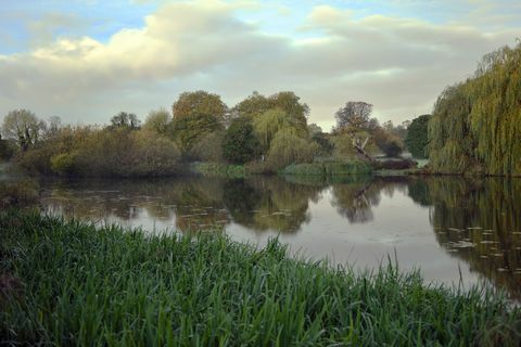 Un amanecer de octubre en los terrenos de Foots Cray Meadows, junto al Puente Five Arch sobre el río Cray en Bexley, Kent, Inglaterra.