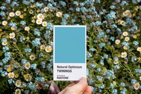 Twinings Infusiones Optimismo natural en asociación con Pantone