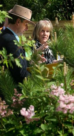 los jueces discuten los jardines del espectáculo, Chelsea Flower Show 2008