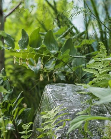 Chelsea Flower Show 2022 The Plantman's Ice Garden diseñado por John Warland Sanctuary Garden