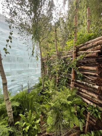 exhibición de flores de chelsea 2022 el jardín del santuario del jardín de hielo del hombre de las plantas