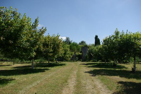 Richelieu - Tours - Touraine - árboles - Francia - Savills