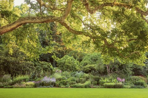 el jardín del palacio de buckingham