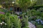 Chelsea Flower Show: compre plantas del jardín de Chris Beardshaw