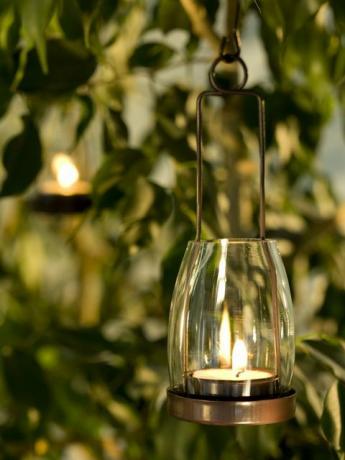 Vela colgando de un árbol en un jardín.