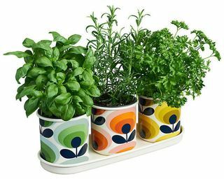 Orla Kiely 70's Flower Herb Pots.Juego de 3