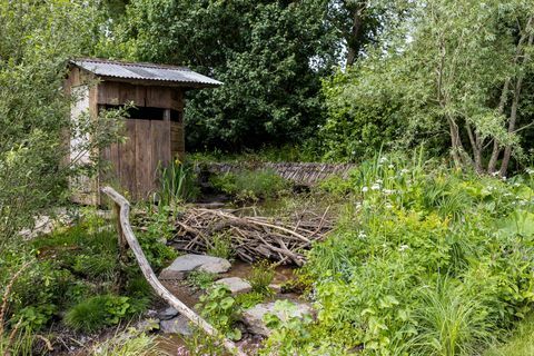 un paisaje de rewilding britain diseñado por lulu urquhart y adam hunt patrocinado por el proyecto de retribución en apoyo de rewilding britain show garden rhs chelsea flower show 2022