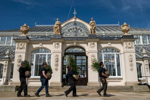 La casa templada recientemente renovada de Kew Garden vuelve a abrir al público