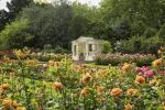 El jardín del Palacio de Buckingham se abrirá a los visitantes este verano