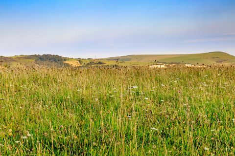 Vista panorámica del campo contra el cielo