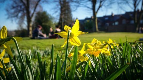 La vida diaria en Sheffield