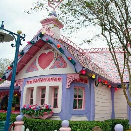 casa de minnie mouse