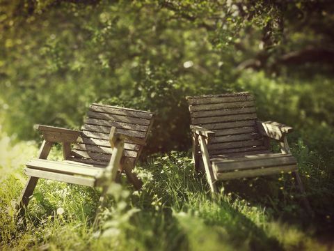 Sillas de madera debajo de árboles en el jardín