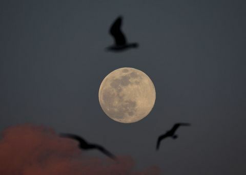 Superluna en Estambul, Turquía