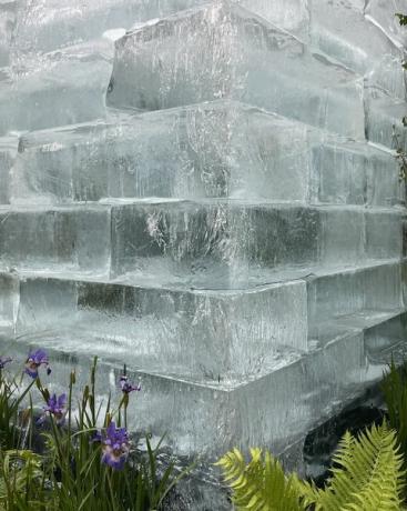 exhibición de flores de chelsea 2022 el jardín del santuario del jardín de hielo del hombre de las plantas